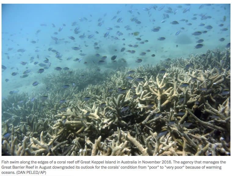 NEW U.N. CLIMATE REPORT: Monumental Change Already here for World’s Oceans and Frozen Regions 2