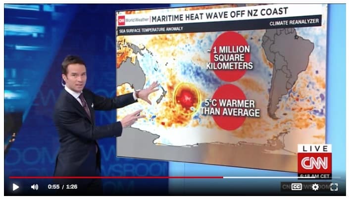CLIMATE CHANGE: HUGE PATCH OF HOT WATER OFF THE COAST OF NEW ZEALAND (400,000 sq miles) 1