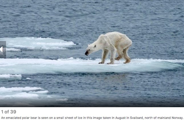 38 POWERFUL PHOTOS OF CLIMATE CHANGE 1