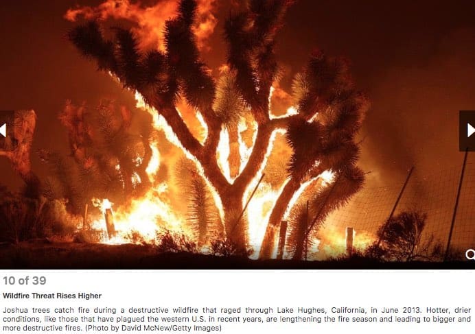 38 POWERFUL PHOTOS OF CLIMATE CHANGE 10