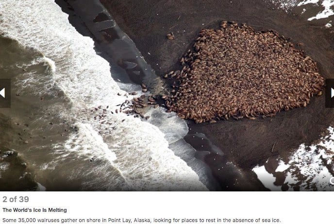 38 POWERFUL PHOTOS OF CLIMATE CHANGE 2