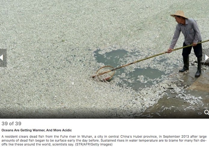 38 POWERFUL PHOTOS OF CLIMATE CHANGE 39