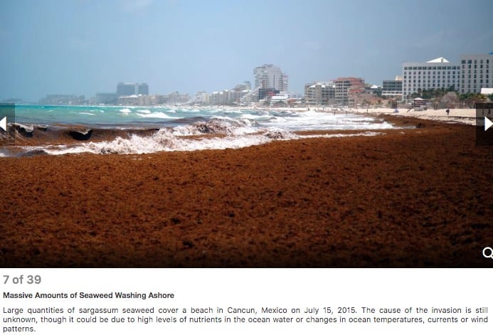 38 POWERFUL PHOTOS OF CLIMATE CHANGE 7