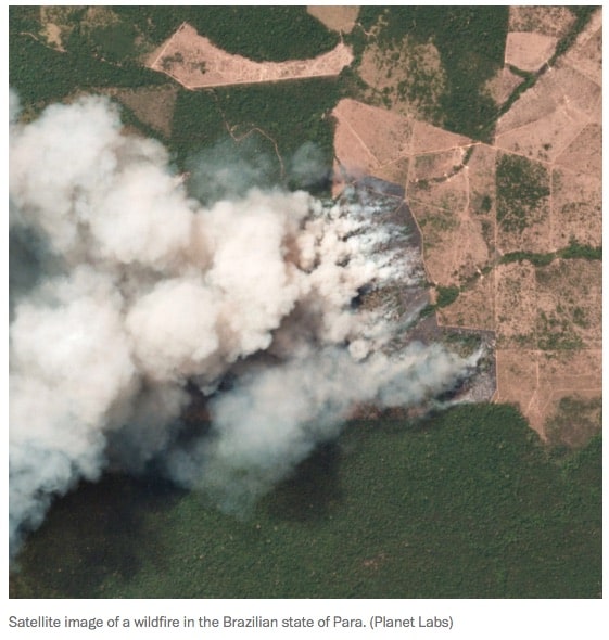 CLIMATE CHANGE: TOP SCIENTISTS WARN OF AN AMAZON "TIPPING POINT" 1