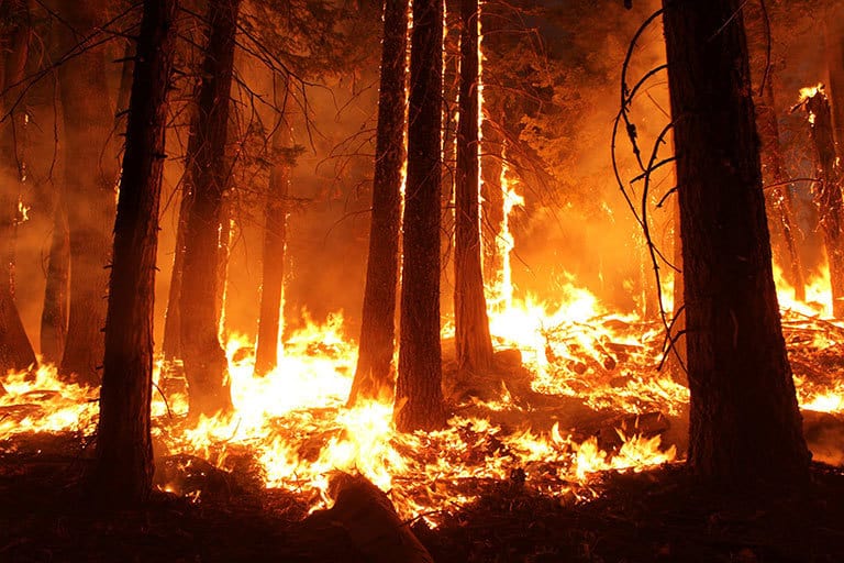 NASA: CLIMATE CHANGE CAUSING FIRE SEASONS TO GET LONGER, MORE FREQUENT 1