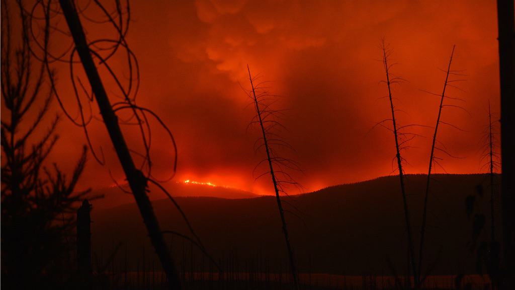 HOW TO MANAGE CLIMATE ANXIETY: DO YOUR "THING" 1